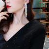 European & American Fashion Long Tassel Rhinestone Earrings with 925 Silver Needle - Trendy Exaggerated Design