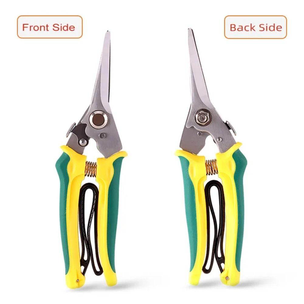 Stainless Steel Garden Pruner Safe Lock Tree Branch Trimmer Scissors Pruning Shears  Fruit Picking