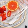 2 pieces butter knife stainless steel butter knife cheese spreader kitchen butter shovel multifunctional butter shovel 1
