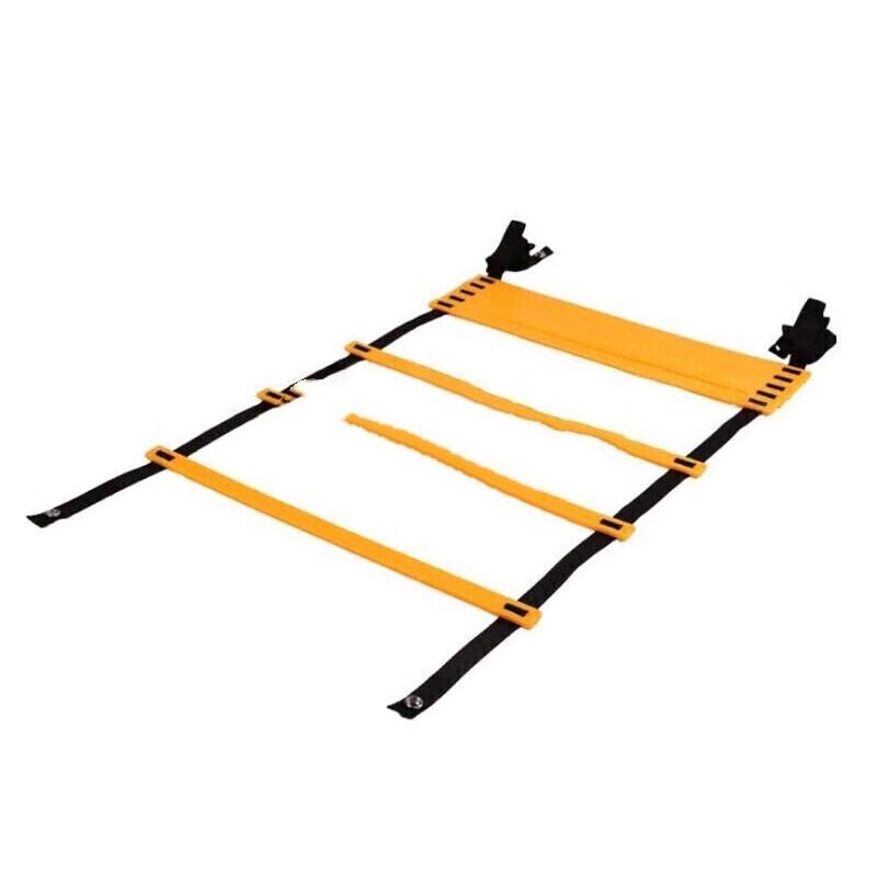 Sports Agility Training Ladder
