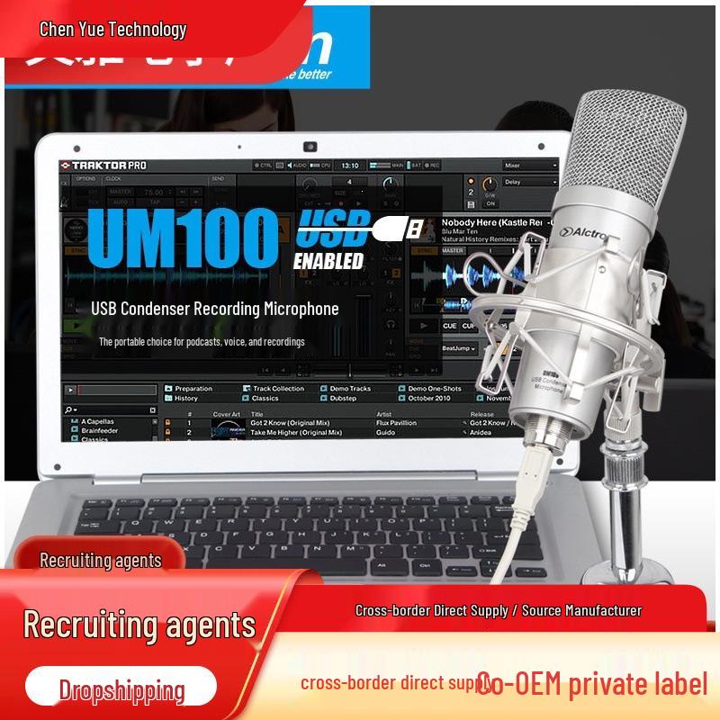 

Alctron UM100 USB Large Diaphragm Condenser Microphone for Voice and Computer Recording UM100