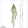 Plastic Artificial Succulent Plants Green Color Faux Succulents Wall Hanging Plants  Home Office