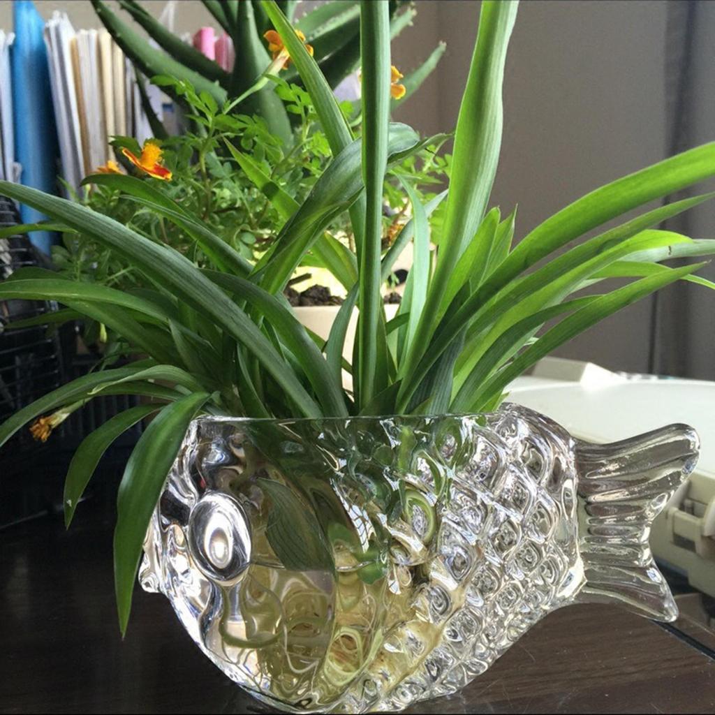 Virágcserép Dekoráció Ivópoharak Üvegáru Hideg Italokhoz Otthoni Gyümölcslevek