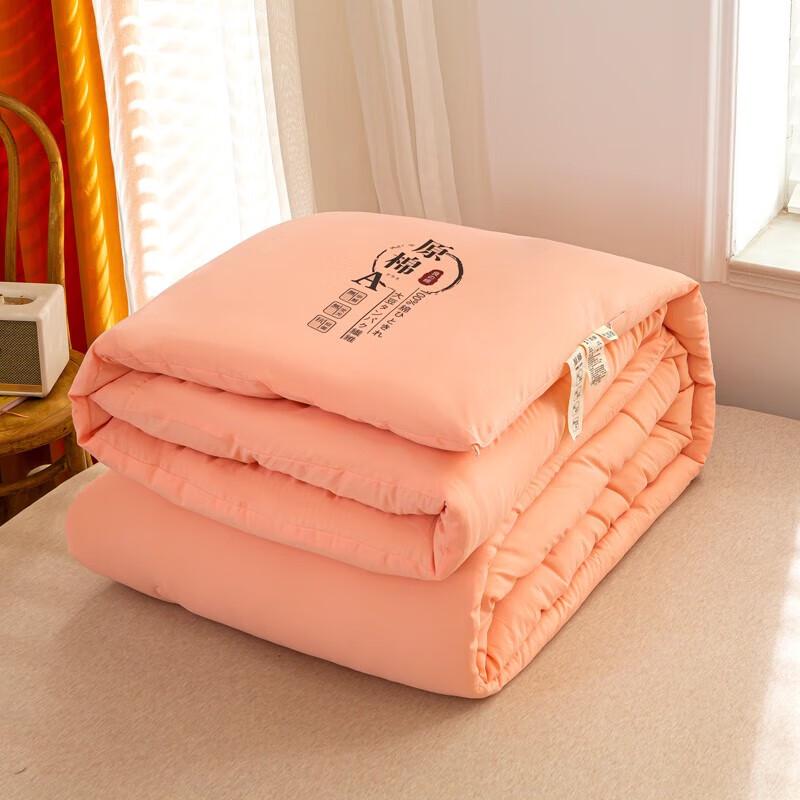 

HOdoHome Class A Cotton Soybean Fiber Duo Quilt