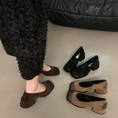 High Heels Women's Thick Heels Single Shoes 2025 New Spring and Autumn Shallow Mouth Rare Women's Shoes