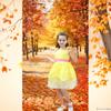 Professional Photography Background Material Valentine's Day Flower Tree Theme