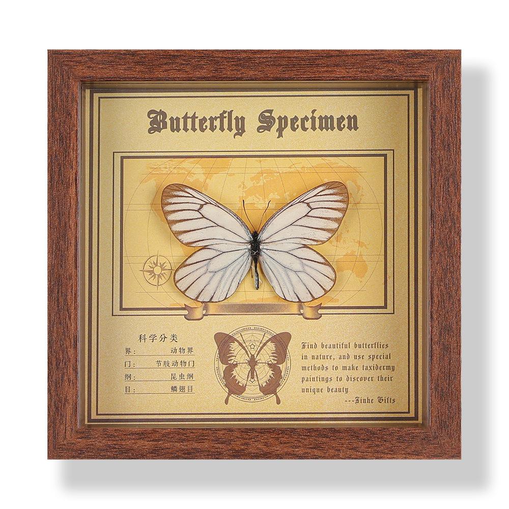 Real butterfly specimen photo frame, decorative painting, 3D ornament, handmade DIY, birthday gift, insect specimen