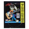 A206 Series Acoustic Guitar Strings 0.11inch Guitar 6 Strings Alice Guitar Strings  Guitarist