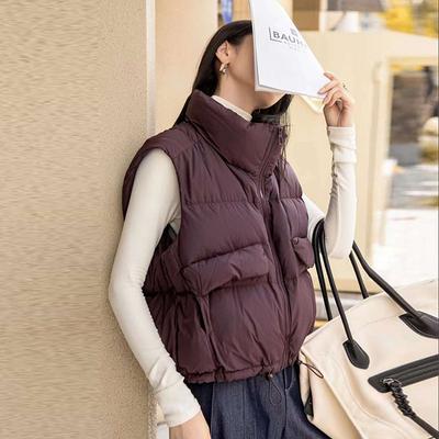 Stand-up Collar Korean Version of Down Vest Women's 2025 Autumn and Winter Fashion Lightweight Large Pockets Thickened Small Vest Tide