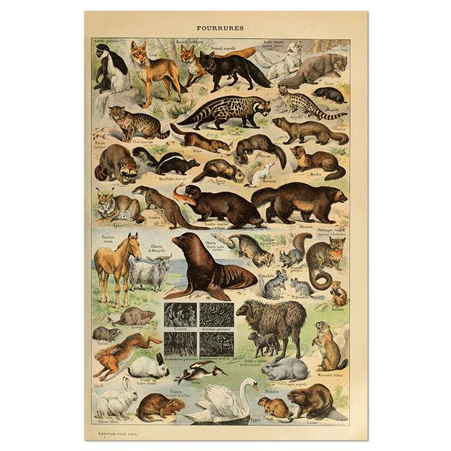 Vintage-Leinwandgemälde mit Gemüse, Früchten, Pilzen, antike Wandkunst, botanische Bilder, wissenschaftliche Poster und Drucke, Heimdekoration
