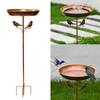 Outdoor Bird Bath Bowl with Bird Ornament for Garden Decors Sturdy Metal Construction Stable Prongs Base