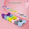 Saibote Frosted Dipped Cast Iron Dumbbells