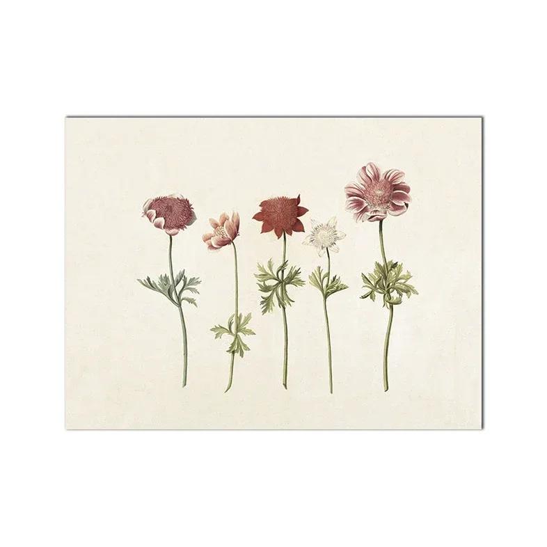 Vintage Flower Nordic Posters, Canvas Painting, Modern Wall Art, Beige Gallery Decor, Picture for Living Room Interior