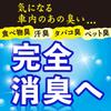 Car Deodorizing Pearl Car Air Freshener Sky Pet Sukki-ri! Sukki-ri! (Leafy Scent) Food, Sweat, Cigarette, Odors, Etc. (Earth Chemical)