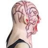 Halloween Horror Vampire Mask Zombie Latex Headgear Alien Scary Costume Mask