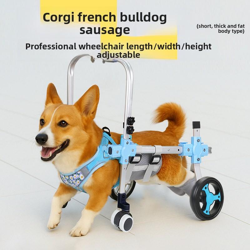 Four Wheel Assisted Walking Adjustable Dog Wheelchair for Hind Legs Durable Pet Mobility Cart with Comfort Fit for Elderly Dogs