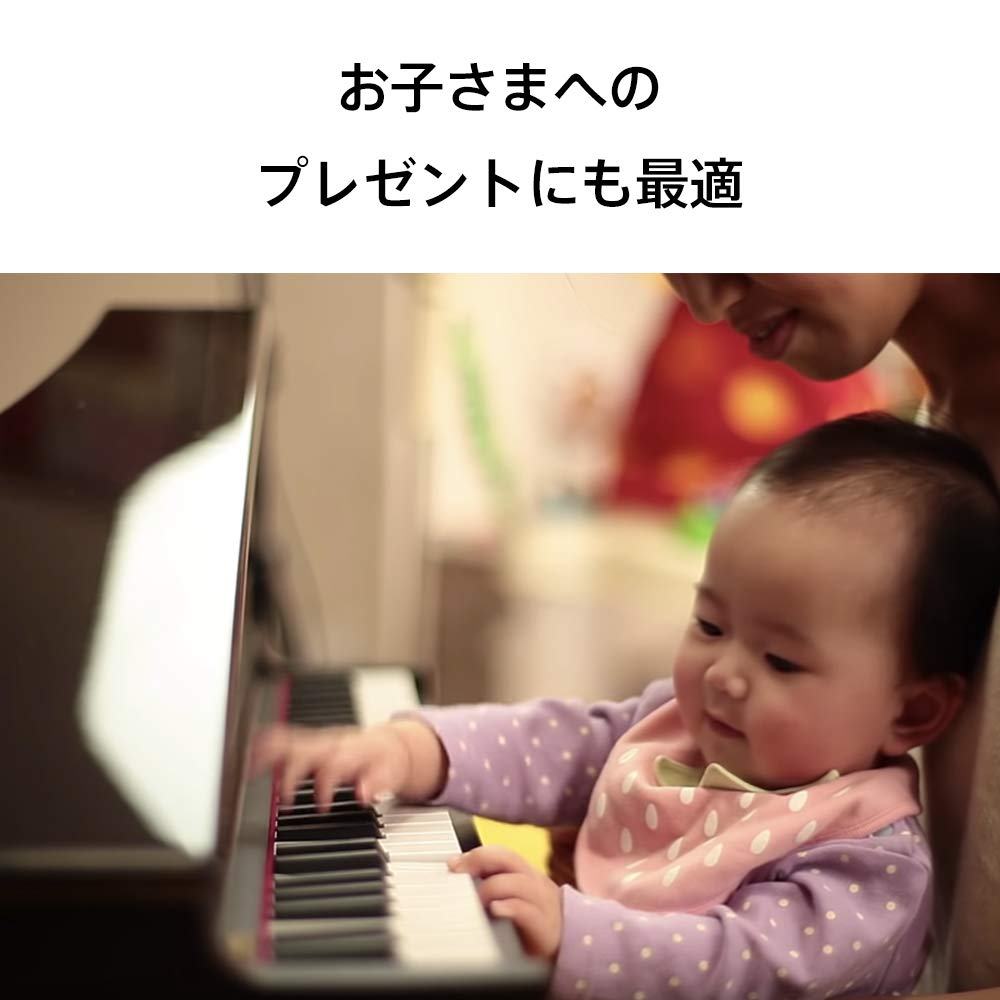 Korg MicroPiano Mini Keyboard 61 Keys 61 Built-in Demo Songs Red