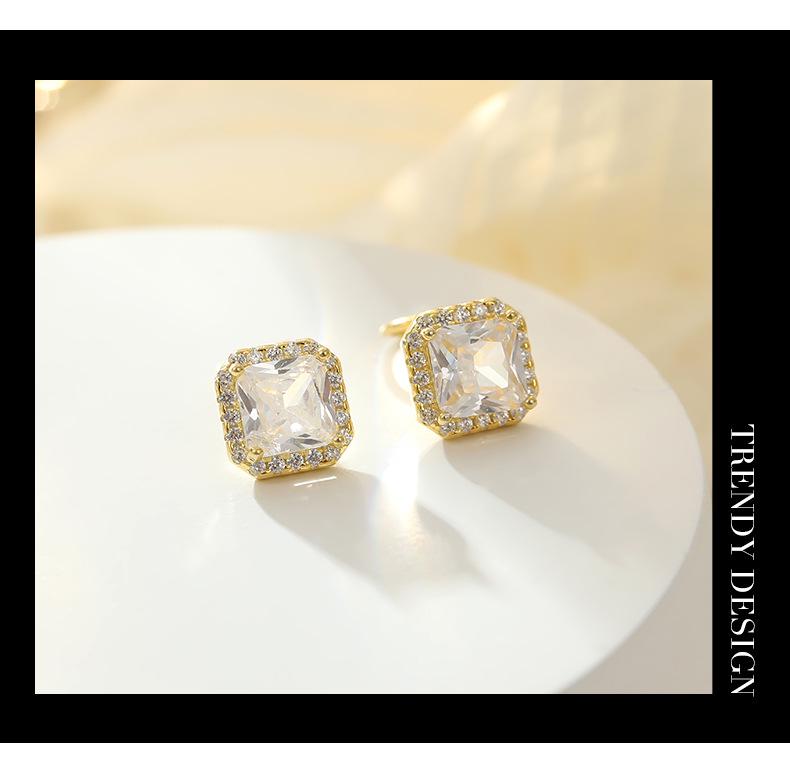 Banyan Tree S925 Silver Luxury Zircon Square Earrings - Simple, Fashion-forward Design for Women