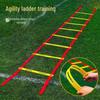 Fitness Agility Ladder