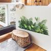 Creative Greenery Turtle Back Leaves Bedroom Living Room Background Landscaping Decorative Wall Stickers
