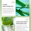 Aloe Vera Good Night Frozen Film Strip SADOER Sleeping Mask Leave-in Smear