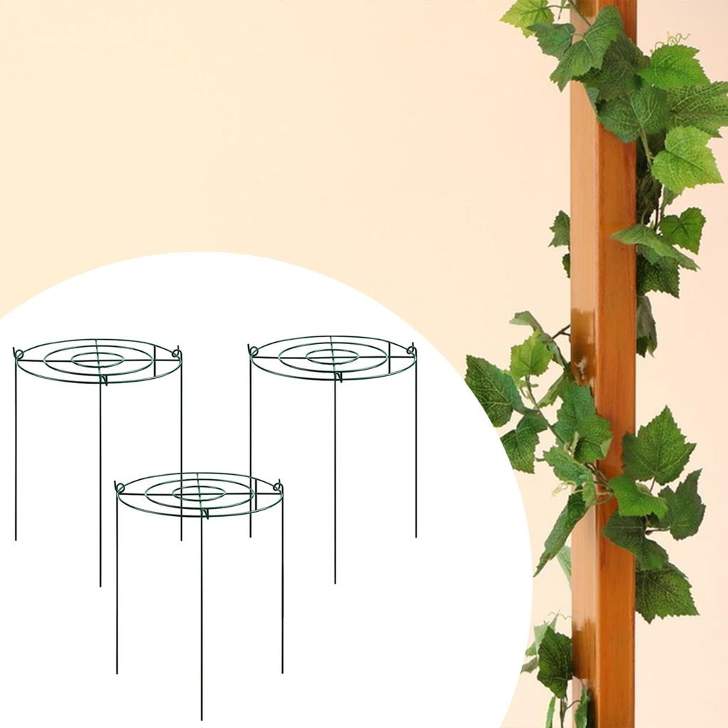 3 Pieces Peony Cages and Supports Peony Support Frame Plant Support Stakes Supports Hoops for Tomato Flopping Flowers Vegetables