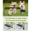 Cat Camera Collar with Video Recording,with 16G SD Card 1080p HD Mini Action Sport Cam,All Activities Pet Supplies/Stuff