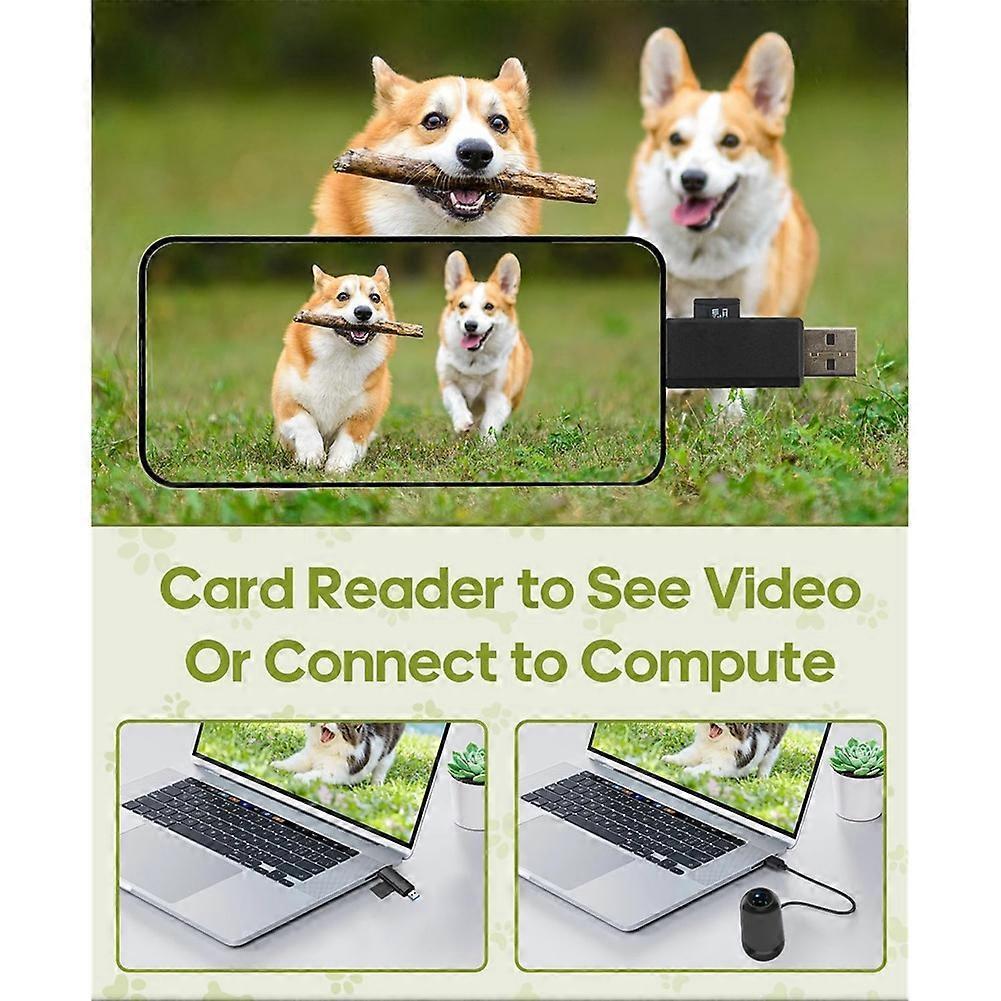Cat Camera Collar with Video Recording,with 16G SD Card 1080p HD Mini Action Sport Cam,All Activities Pet Supplies/Stuff