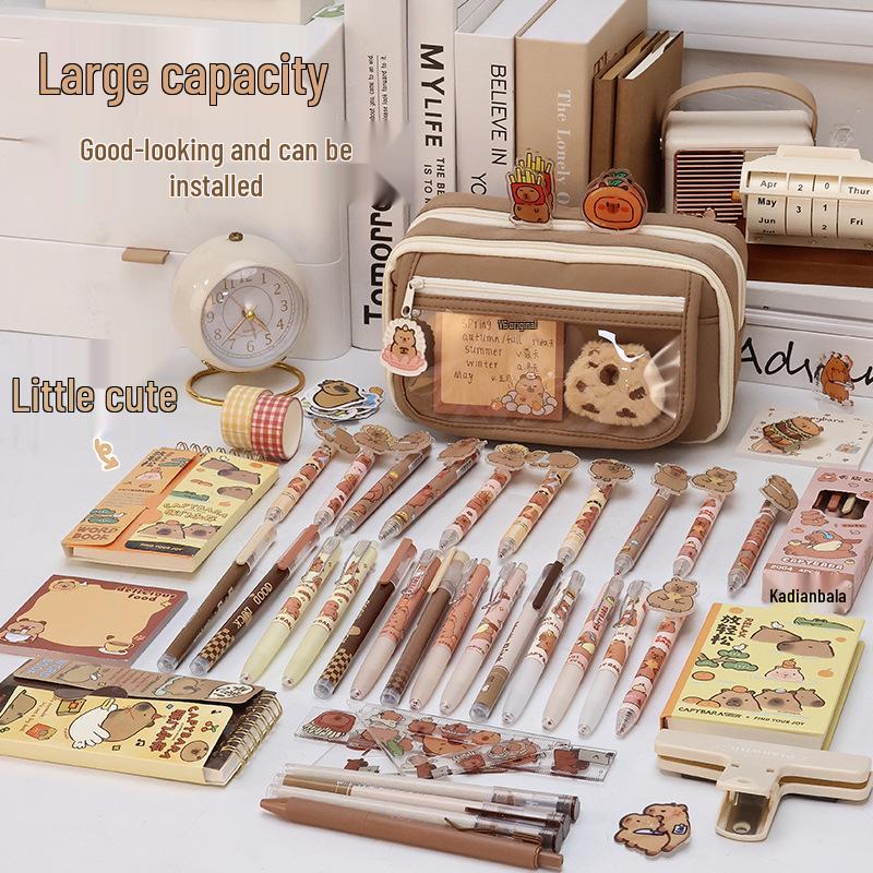 Large-Capacity Capybara Pencil Case for Girls – Cute & Transparent Design for Junior High Students