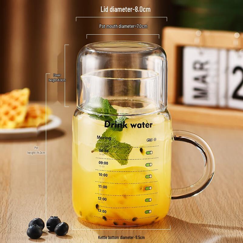 

Heat-Resistant High Borosilicate Glass Mug with Handle, 800ml