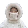 Windproof Fleece Lined Cycling Pullover Hat With Full Face Mask And Ear Protection For Adult Skiing Hiking Camping