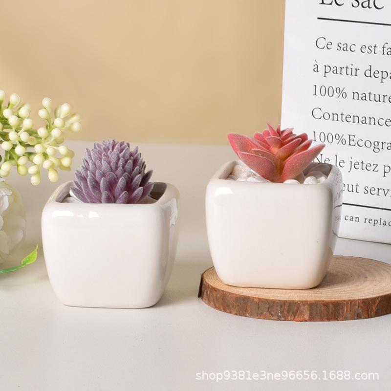 Mini Quadratisch Schwarz Weiß Keramik Sukkulenten Topf, Minimalistischer Schreibtisch Blumentopf, Kleiner Behälter für Daumenpflanzen
