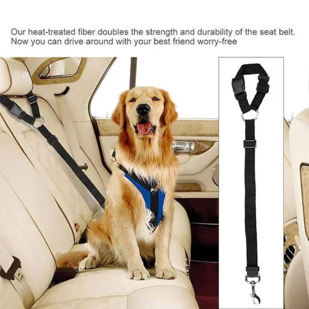 Waterproof Pet Car Travel Set Adjustable Secure Restraint Leash Carrying Rear Seat Cover  Vet Visit