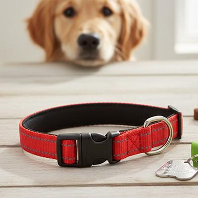 Reflective Dog Collar with Buckle Soft Padded Nylon Pet Collars Adjustable Nylon Webbing Collars for Small and Medium-Sized Dog