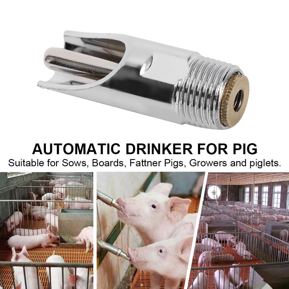 Powerful Spring Livestock Drinker Removable,  Resistant, sy to Use for  s, Cattle, with Simple Structure, Convenient Functionality