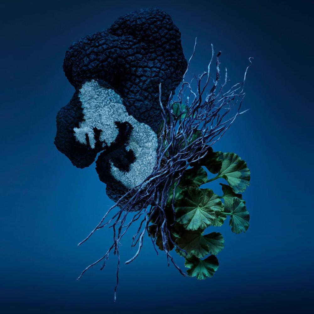 Carolina Herrera - Bad Boy Cobalt Eau De Parfum 100 Ml -