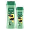 Hazeline Black Bright Nourishing Shampoo