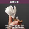 Felimoa Magnolia Ceramic Incense Holder with Wooden Ash Catcher Tray for Sticks up to 3 mm Meditation Home Decor