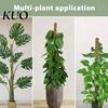 Plant Growth Support Moss Pole Kit Vertical Monstera Coconut Fiber Natural Bendable Stakes for Indoor Climbing Plants Home Gardening Moisture-locking