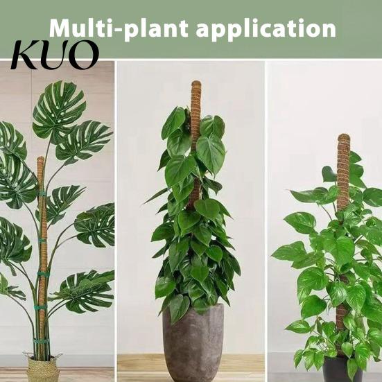 Plant Growth Support Moss Pole Kit Vertical Monstera Coconut Fiber Natural Bendable Stakes for Indoor Climbing Plants Home Gardening Moisture-locking