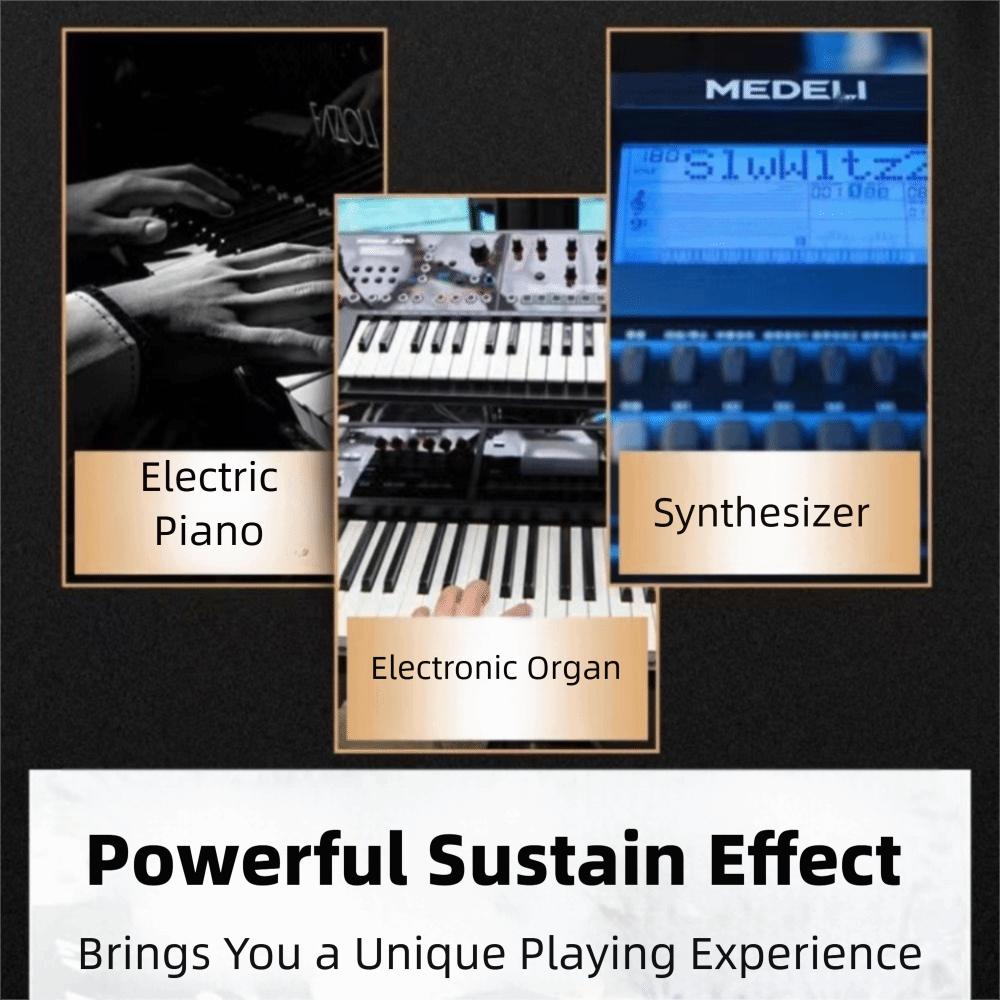 Stable Sustain Pedal Easy Installation Universal Single Pedal  Live Performance