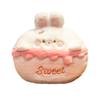 Cute Cartoon Plush Hand Warmer Bag For Girls Keep Your Hands Warm In Winter Double As Hot Water Bottle Cake Pig Design