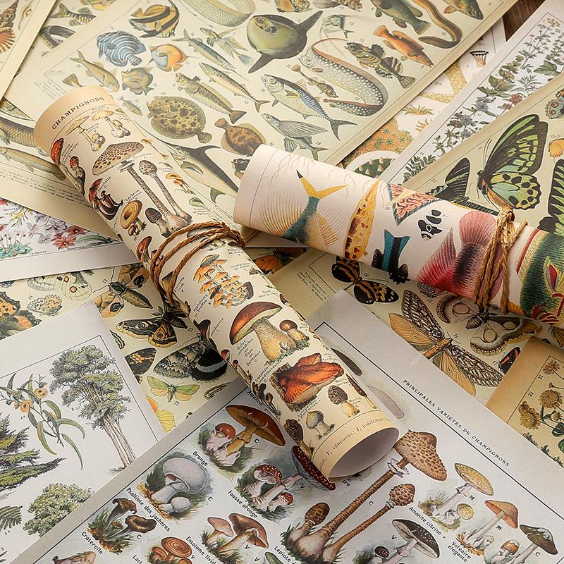 Retro Natural History Illustrated Journal & DIY Album: 15 Double-Sided Sheets for Decoration