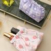 Cosmetics Coin Wire Holder Pouch Bag Portable Earphone Cards Lipsticks Storage
