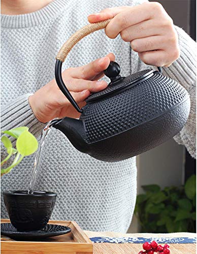 Hwagui Iron Teapot, 800ml (0.8L), IH Compatible, Direct Heat, Iron Kettle, Iron Supplement