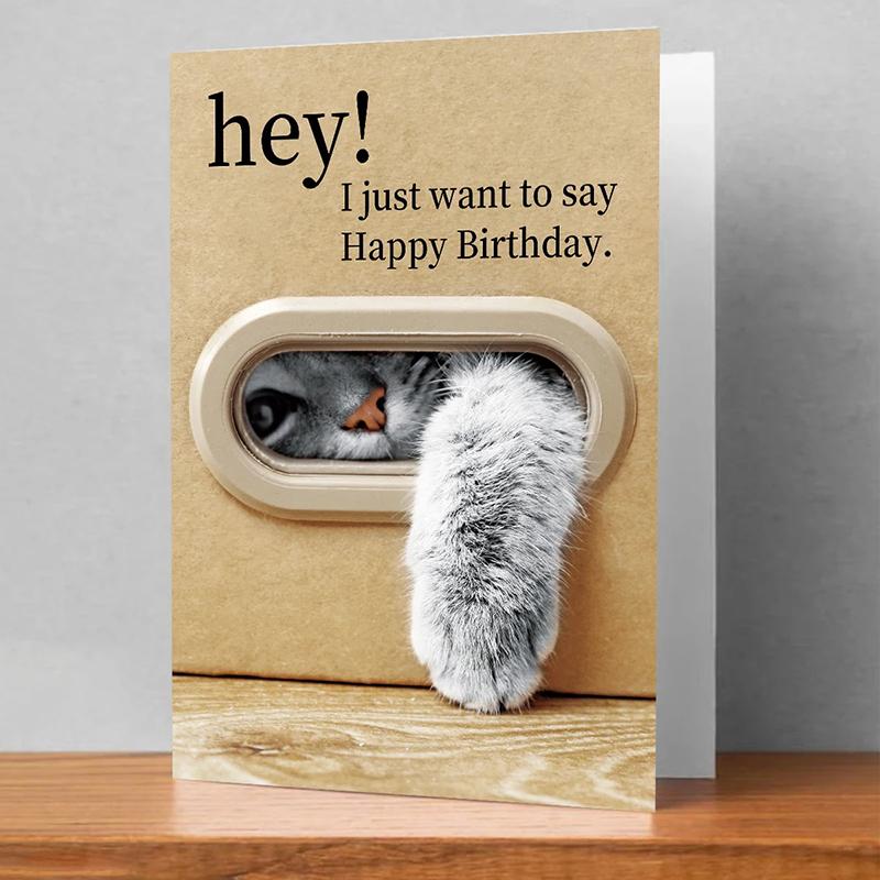 Cute Cat Birthday Card, Playful Kitty Paw Design,Happy Birthday Card With Envelope, Best Gift For Cat Lover, Family, Friends