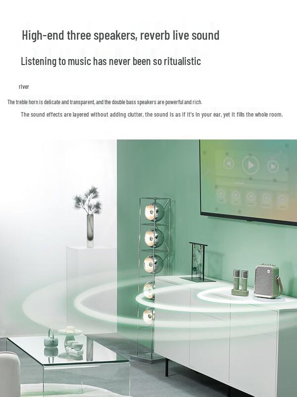 Divoom Portable KTV Bluetooth Speaker System with Dual Microphones