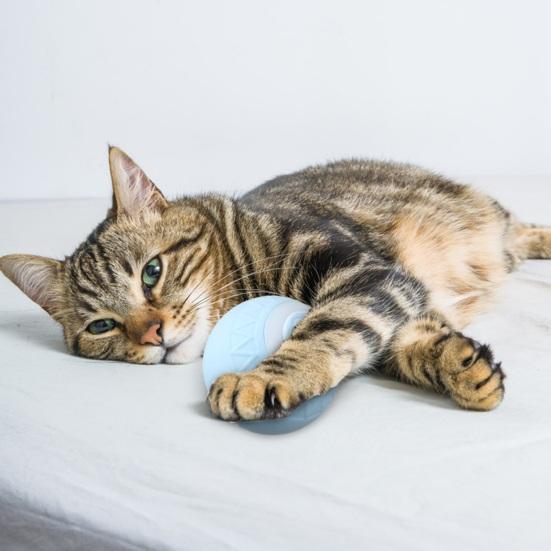 Interactive Cat Rolling Ball Toy Motion Activated Automatic Moving Smart Ball USB Rechargeable Pet Bouncing Ball for Small/Medium/Large Cats Dogs