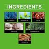 HozoneX Peppermint Oil Home Rodent Repellent Plant Ingredients Indoor Mild Rodent Repellent Convenient Home Rodent Repellent