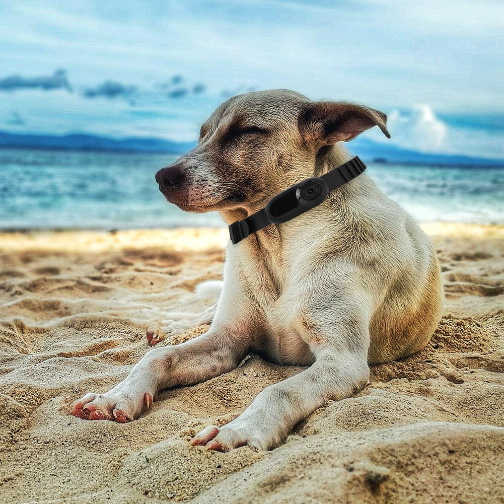 Cat Dog Tracker Collar HD 1080P Wireless Cat Camera Collars Sport/Action Camera with Video Records Wireless Collar Pet Supplies